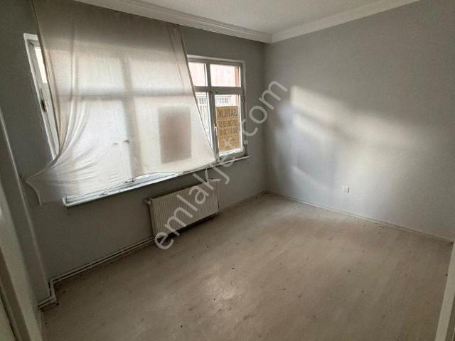 İstanbul Merkez, İstanbul içerisinde kiralık mülk