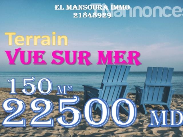 Terrain vente