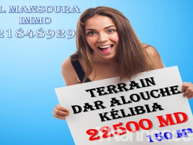 Terrain vente