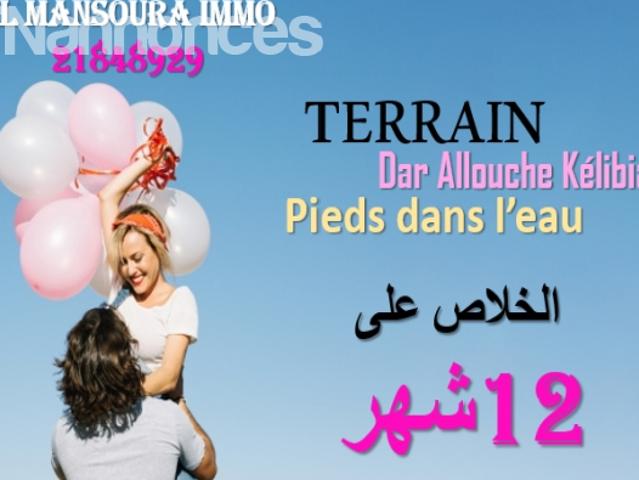 Terrain vente