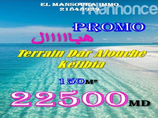 Terrain vente