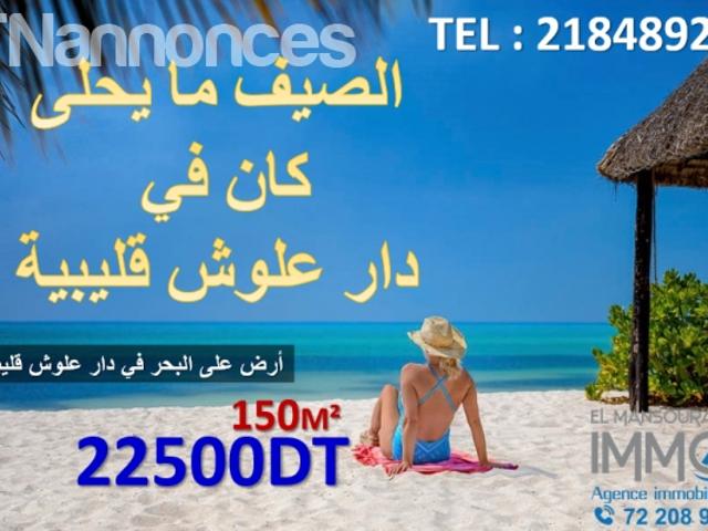 Terrain vente
