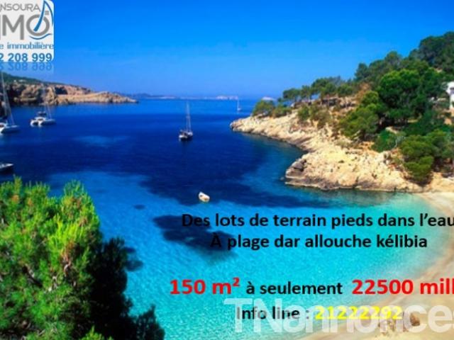 Terrain location