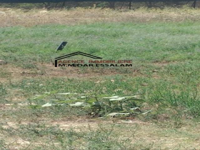 Villa vente à Nabeul