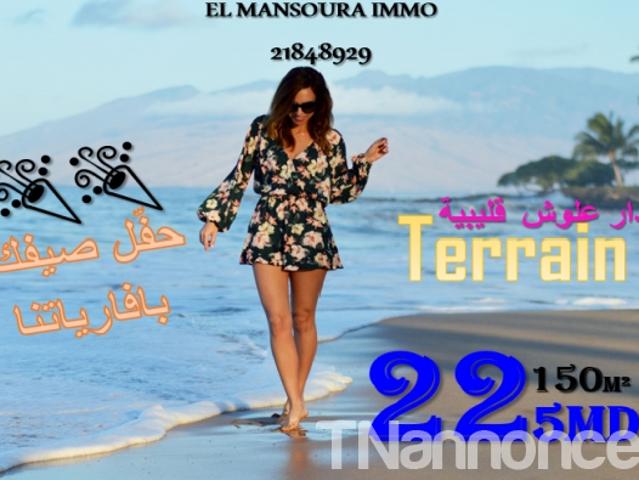 Terrain vente