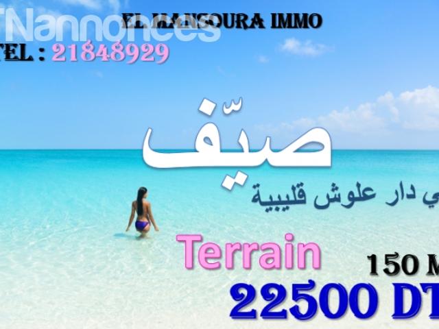 Terrain vente