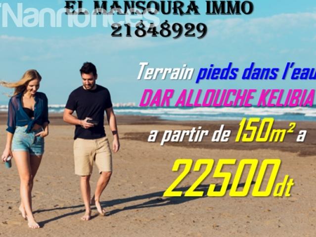 Terrain vente