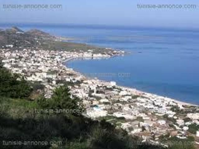 Maison vente à Bizerte Nord