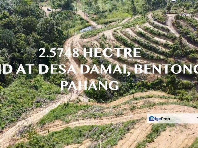 Shop for sale in Pahang