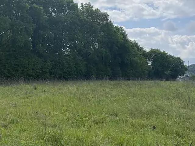 Terrain vente à Montbéliard, Désandans