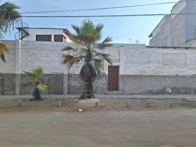 Terreno 715 M2 Punta Negra, Reves, Paraiso de Aves Migratorias