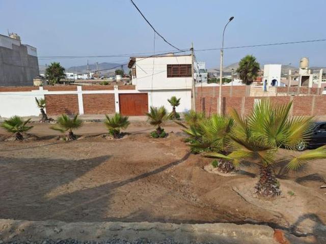 Terreno 715 M2 Punta Negra, Reves, Paraiso de Aves Migratorias