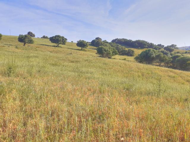 Terreno en venta en Honda Cavada, Costa del Sol Occidental