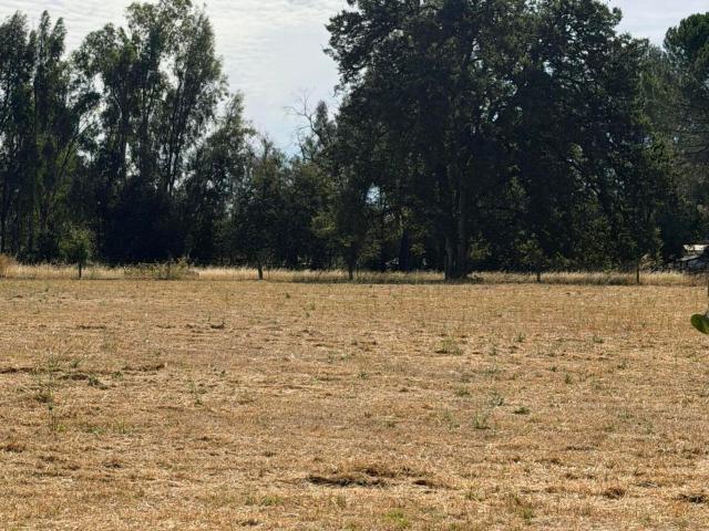 Land for sale in Shasta, California
