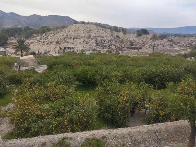Terreno en venta en Valle de Ricote, Murcia