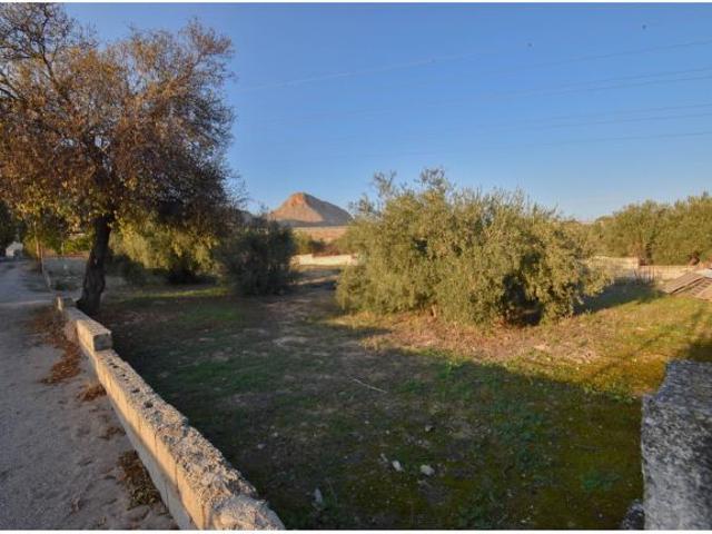 Local Comercial en venta en Casco Antiguo Sur, Comarca de la Vega de Granada