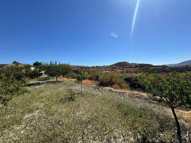 Terreno en venta en Instinción, Almería