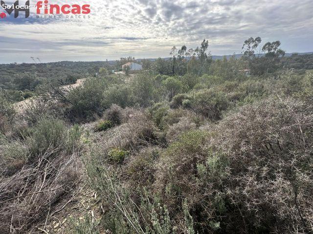 Local Comercial en venta en Lagos del Serrano, Guillena