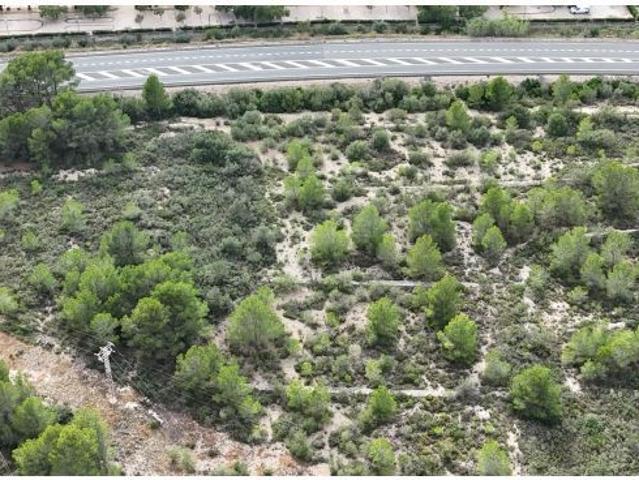 Local Comercial en venta en Baix Ebre, Catalunya