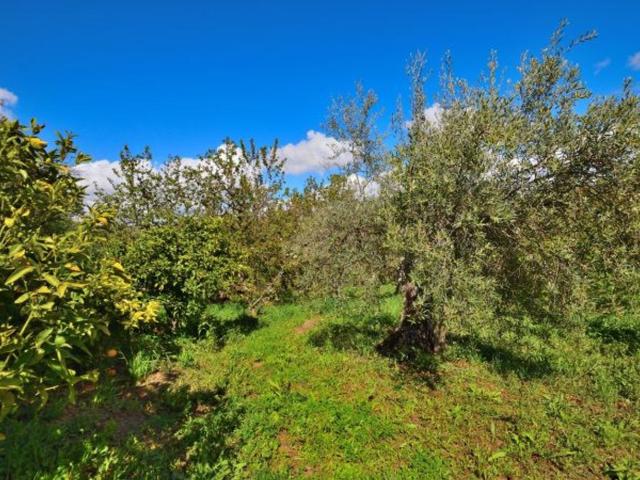 Casa en venta en Serranía de Ronda, Andalucía