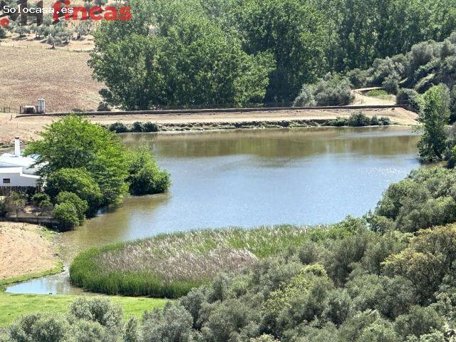 Local Comercial en venta en Las Navas De La Concepción, Andalucía