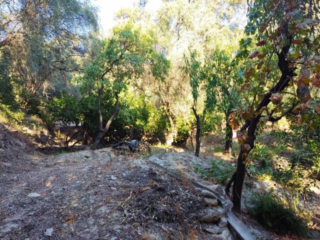 Terreno en venta en Comarca del Valle de Lecrín, Andalucía
