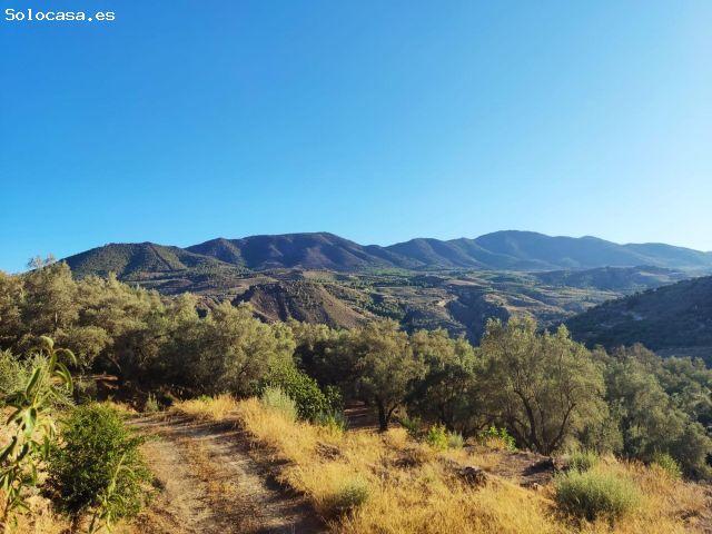 Local Comercial en venta en Acequias, Comarca del Valle de Lecrín
