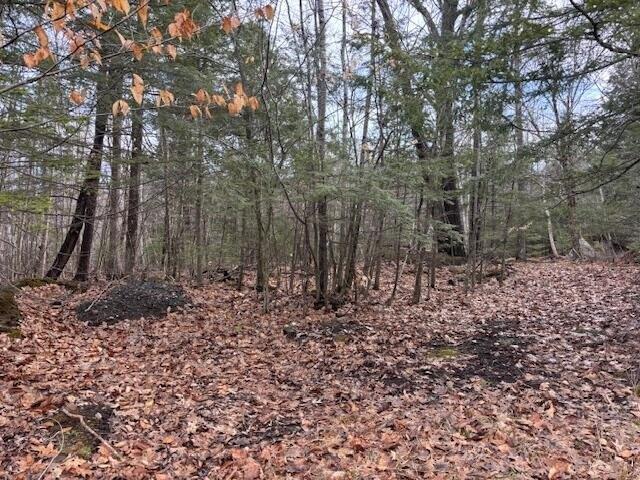 Land for sale in Mount Vernon, Maine
