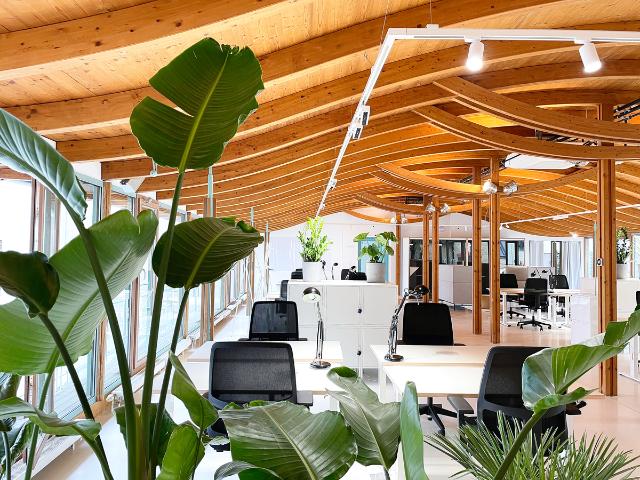 Büro mieten in Mitte, Berlin