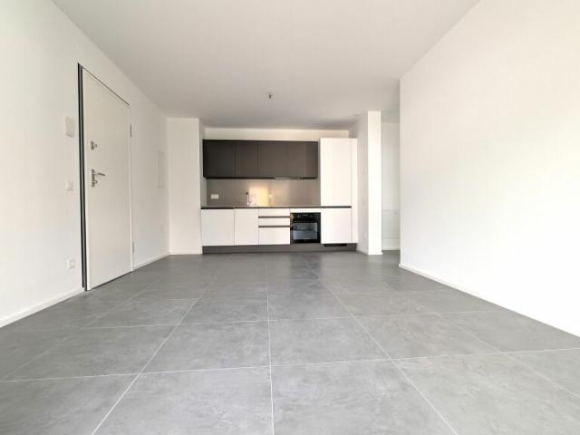 Wohnung kaufen in Vacallo, Tessin