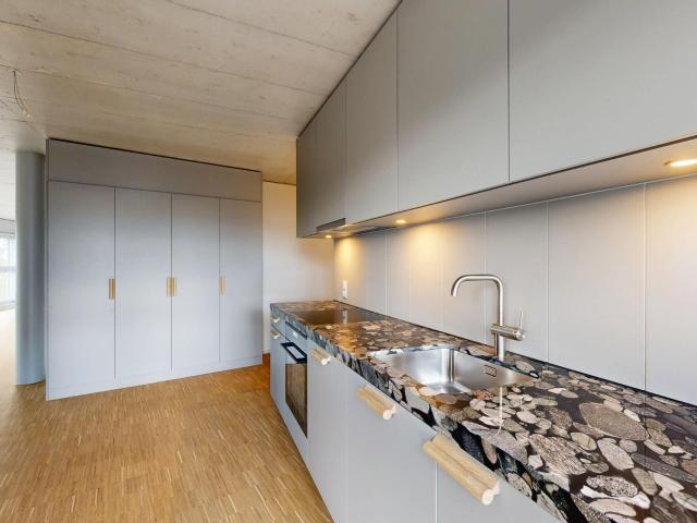 Apartment mieten in Einigen, Zürich