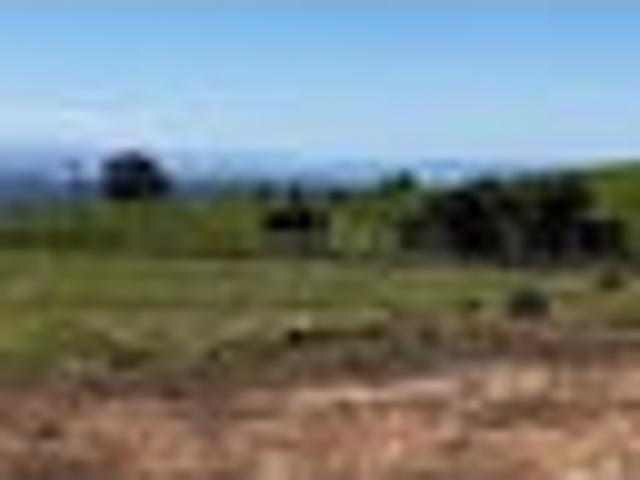 Land for sale in Bay Of Plenty