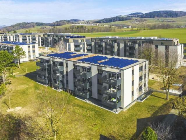 Apartment mieten in Münsingen, Bern