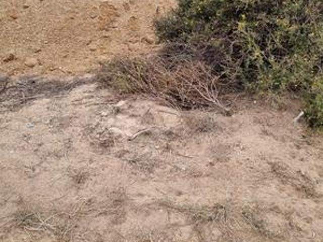 House for sale in West Coast, Britannia Bay
