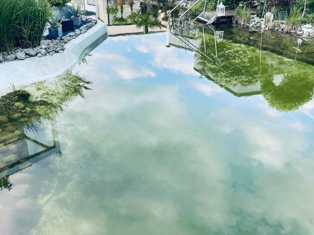 Apartment mieten in Abtissendorf, Feldkirchen bei Graz
