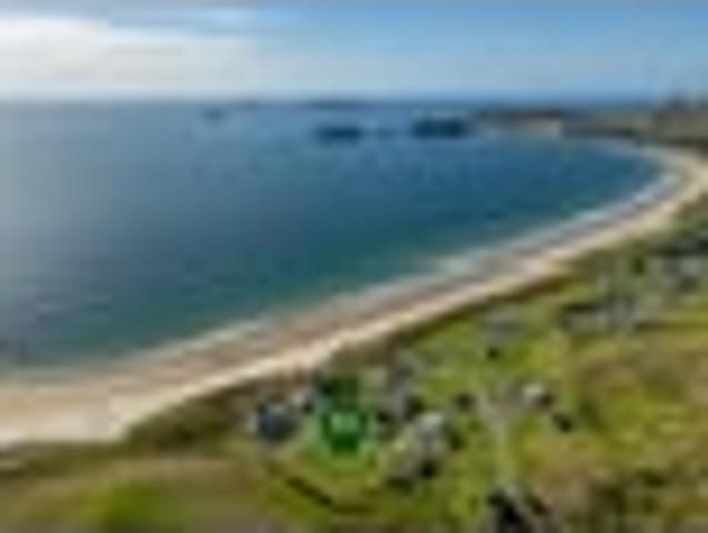 Land for sale in Waikato