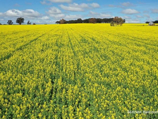 Property for sale in Yarawindah, Western Australia