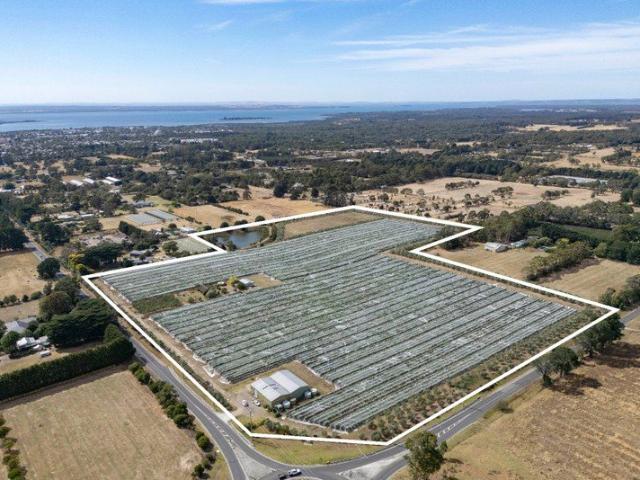 Cottage for sale in Camerons Creek, Victoria