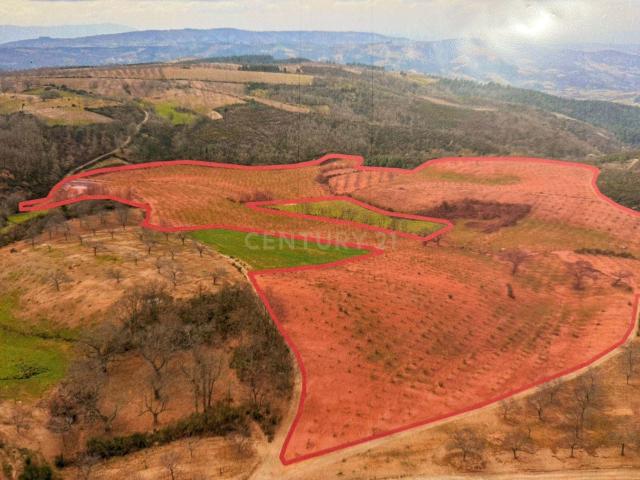 Terreno venda em Lamas, Bragança