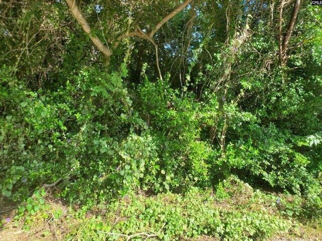Land for sale in Orangeburg