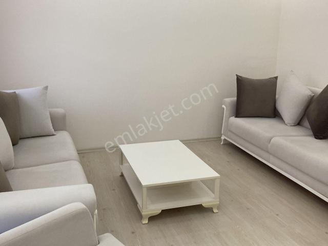 İstanbul Merkez, İstanbul içerisinde kiralık mülk
