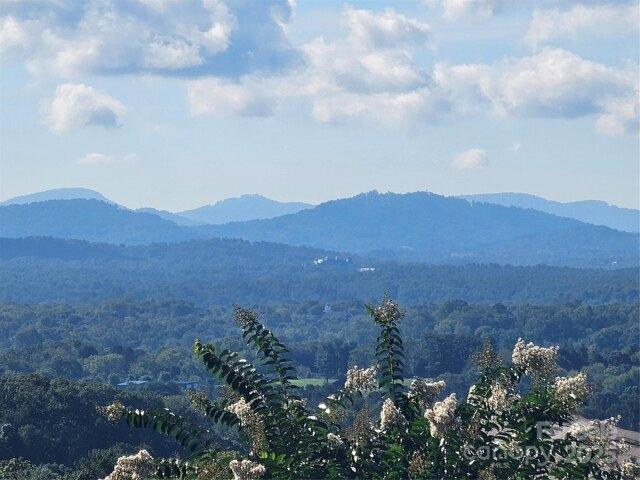 Land for sale in Asheville, North Carolina