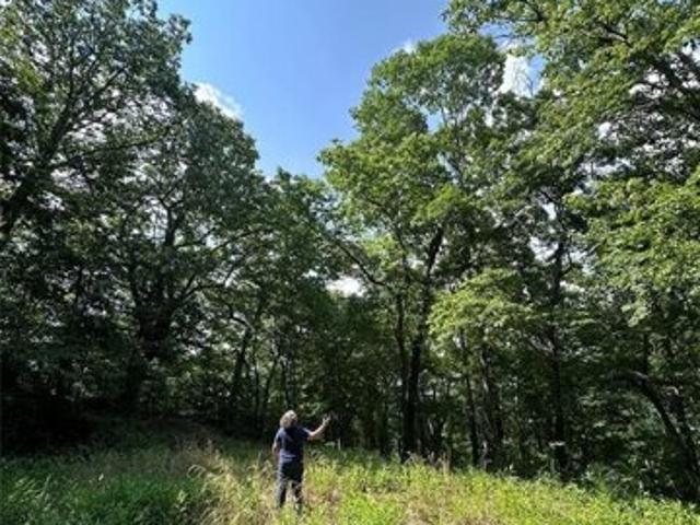 Land for sale in Leicester