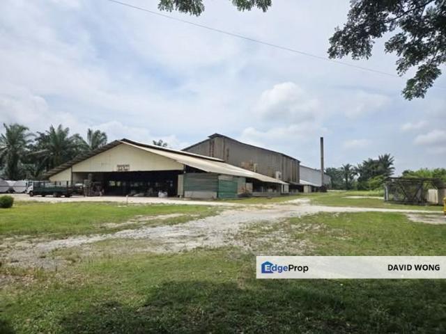 Warehouse for rent in Perak, Pusing
