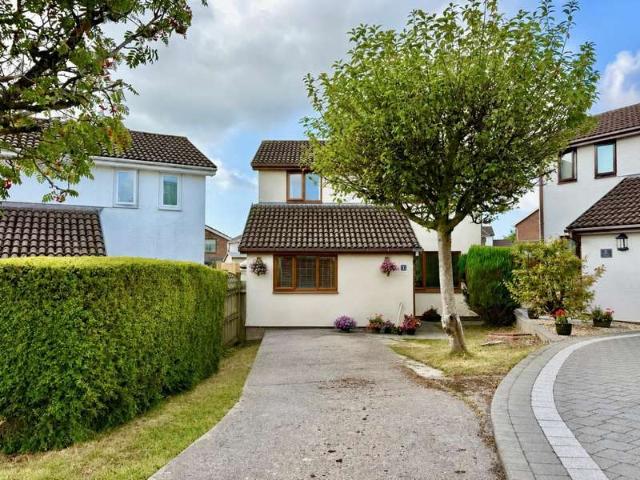 Farm for rent in Newcastle Higher, Wales