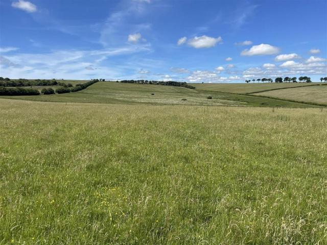 Land for sale in Withypool and Hawkridge
