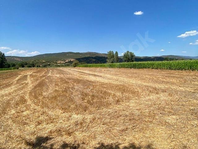 Işıklar, Kepsut içerisinde satılık Arsa