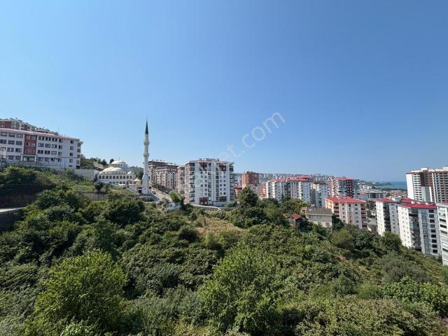 Yomra, Trabzon içerisinde satılık mülk