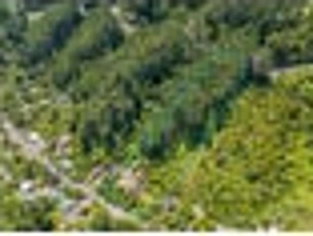 House for sale in Pauatahanui, Wellington
