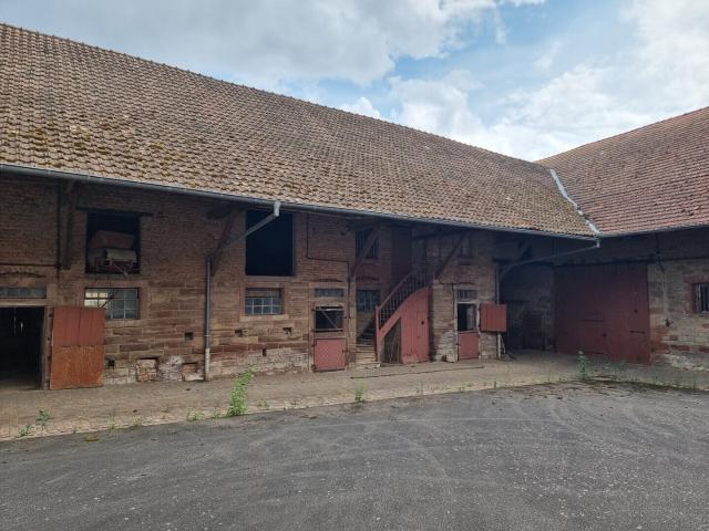 Maison vente à Saverne, Dettwiller